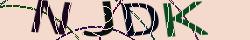 Enter the code from the image.