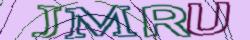 Enter the code from the image.