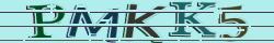 Enter the code from the image.